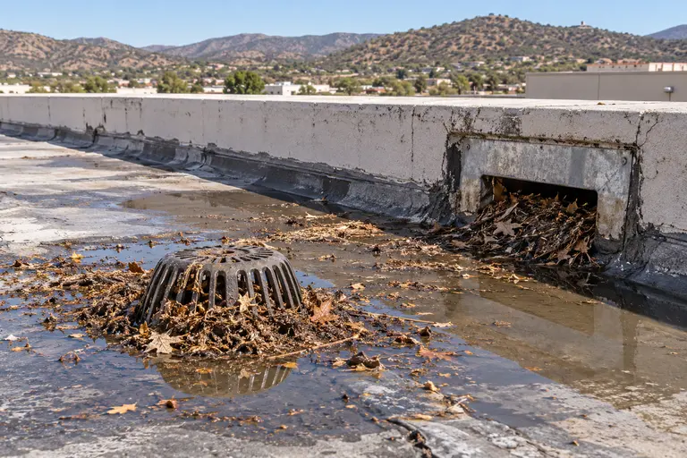 Roof drain and scupper packed with leaves and dust, with standing water around the strainer